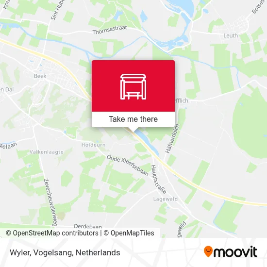 Wyler, Vogelsang map