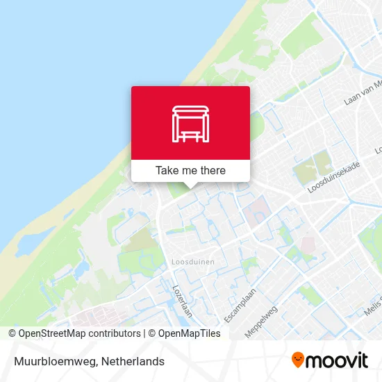 Muurbloemweg map