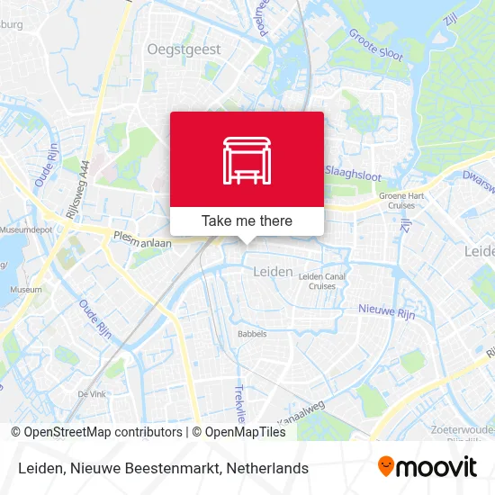 Leiden, Nieuwe Beestenmarkt map