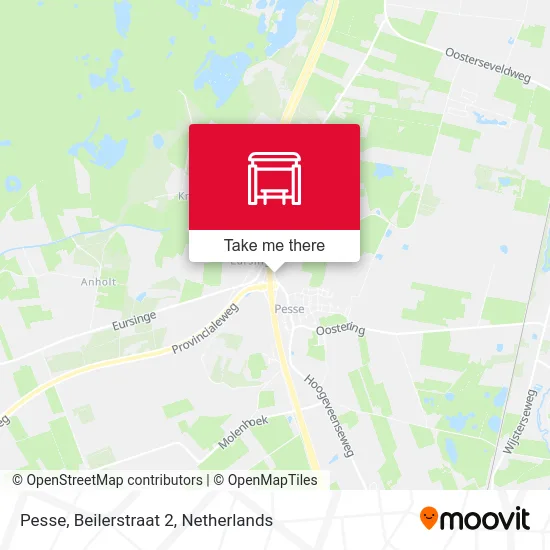 Pesse, Beilerstraat 2 Karte