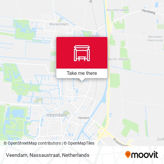 Veendam, Nassaustraat map