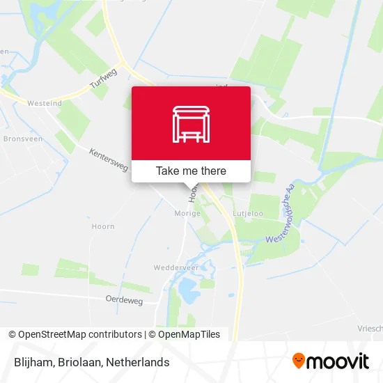 Blijham, Briolaan map