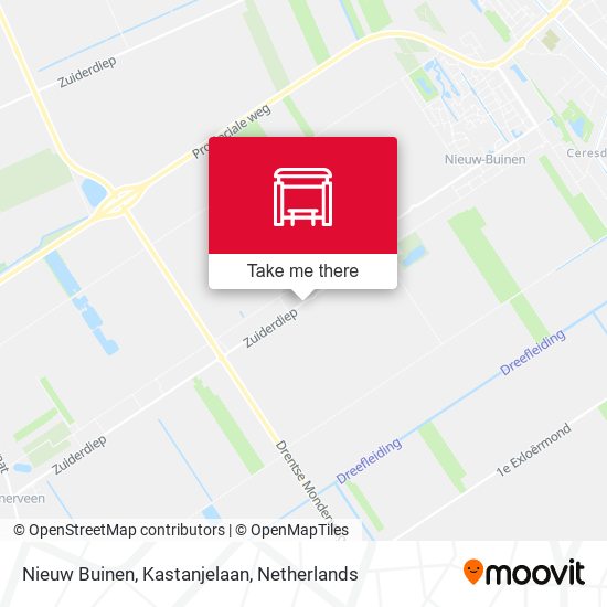 Nieuw Buinen, Kastanjelaan map