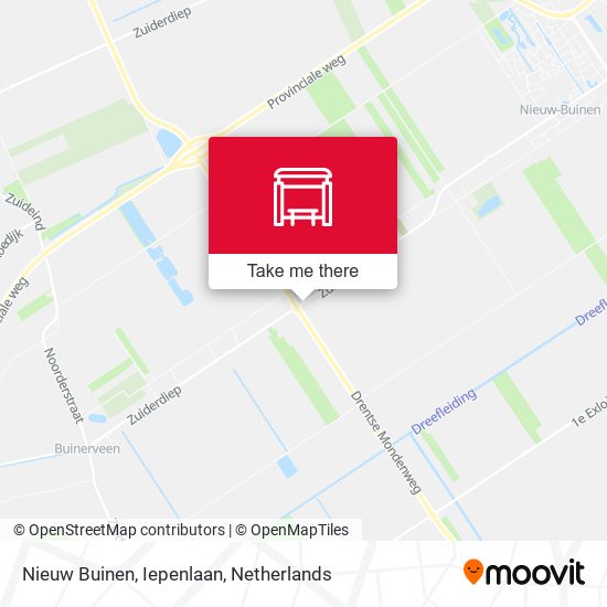 Nieuw Buinen, Iepenlaan map