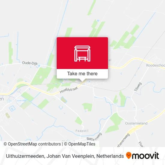 Uithuizermeeden, Johan Van Veenplein map