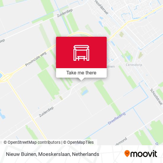 Nieuw Buinen, Moeskerslaan map