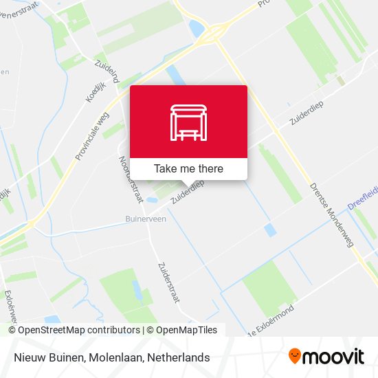 Nieuw Buinen, Molenlaan map