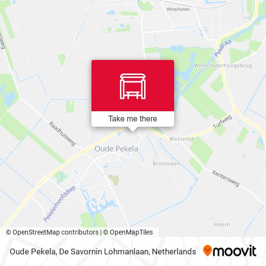 Oude Pekela, De Savornin Lohmanlaan map