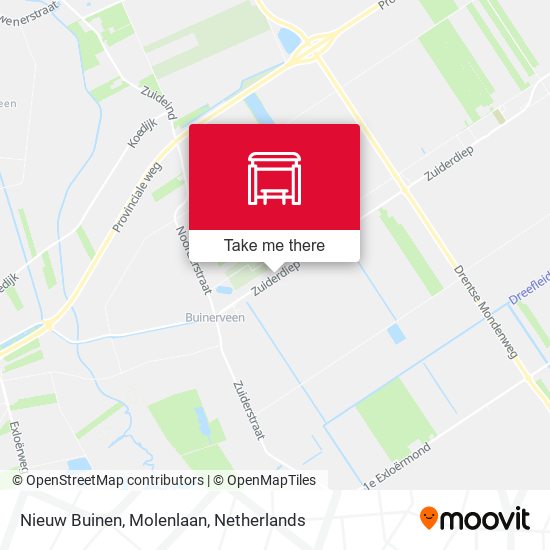 Nieuw Buinen, Molenlaan map