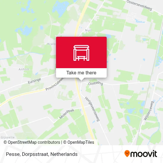Pesse, Dorpsstraat map