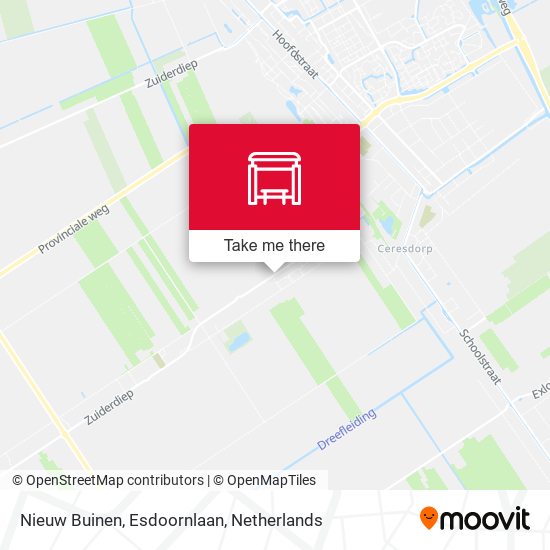 Nieuw Buinen, Esdoornlaan map