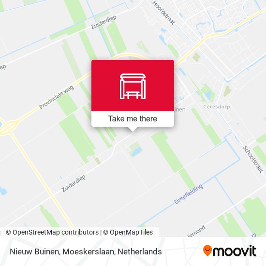 Nieuw Buinen, Moeskerslaan map