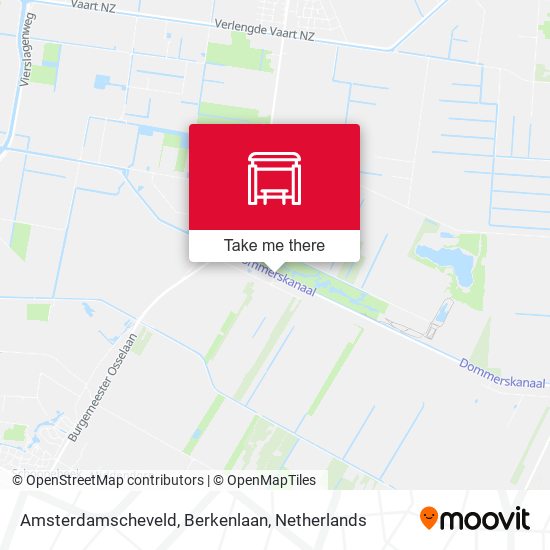 Amsterdamscheveld, Berkenlaan map
