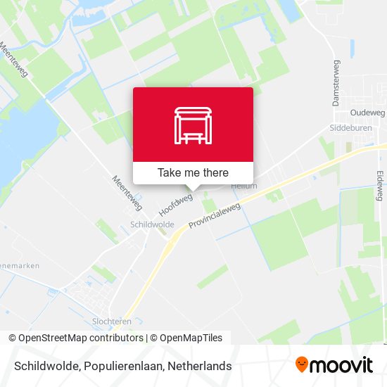 Schildwolde, Populierenlaan map