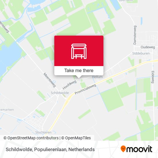 Schildwolde, Populierenlaan map
