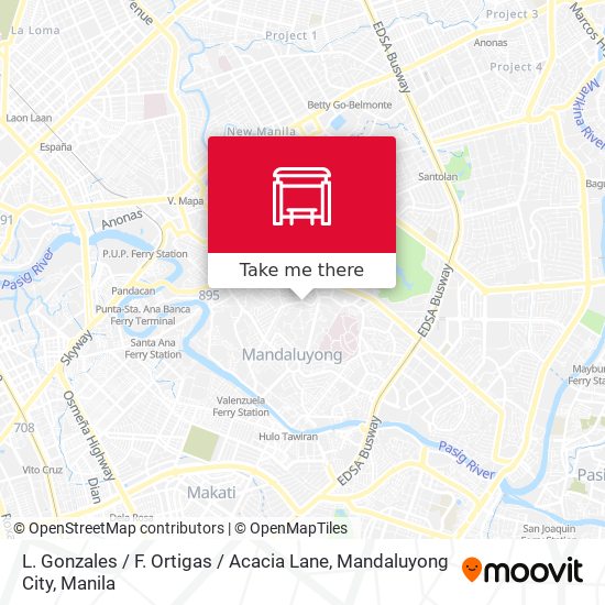 L. Gonzales / F. Ortigas / Acacia Lane, Mandaluyong City map