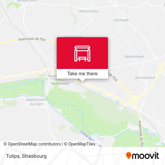 Tulipes map