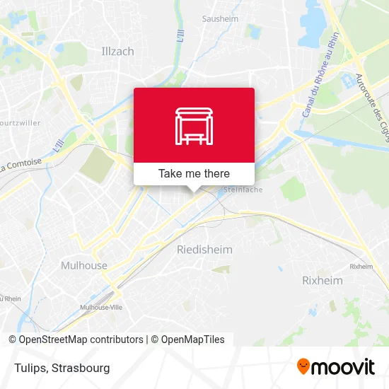 Tulipes map