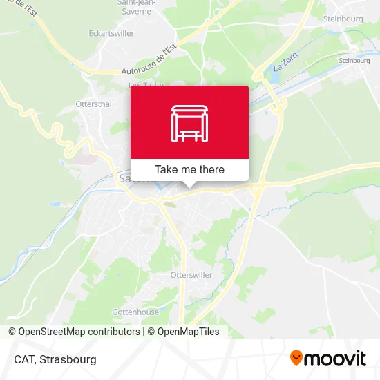Cat map