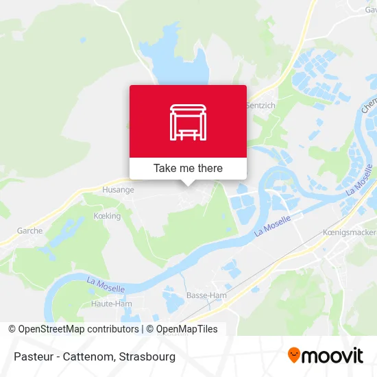 Pasteur - Cattenom map