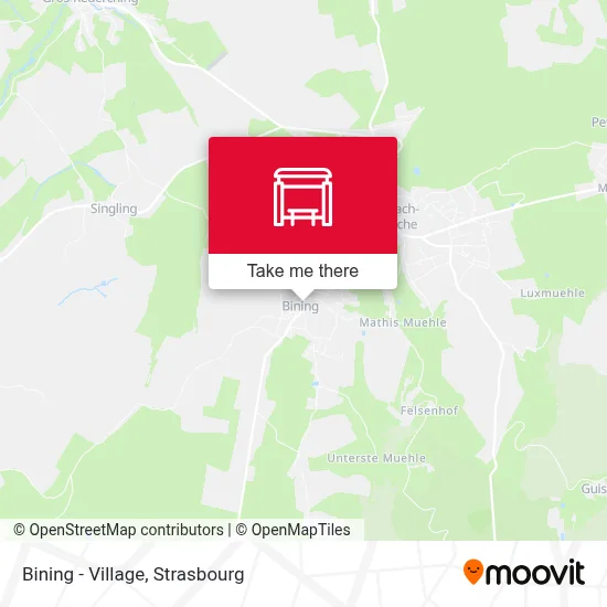 Bining - Village map