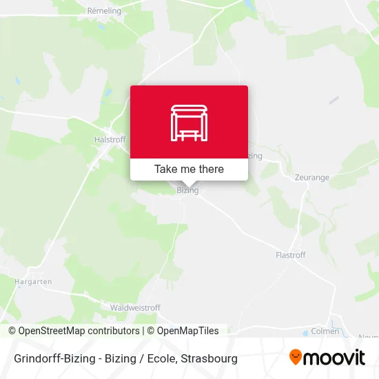 Grindorff-Bizing - Bizing / Ecole map