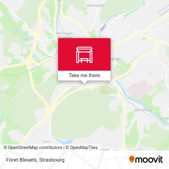 Fôret Bleuets map