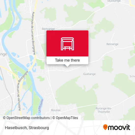 Haselbusch map