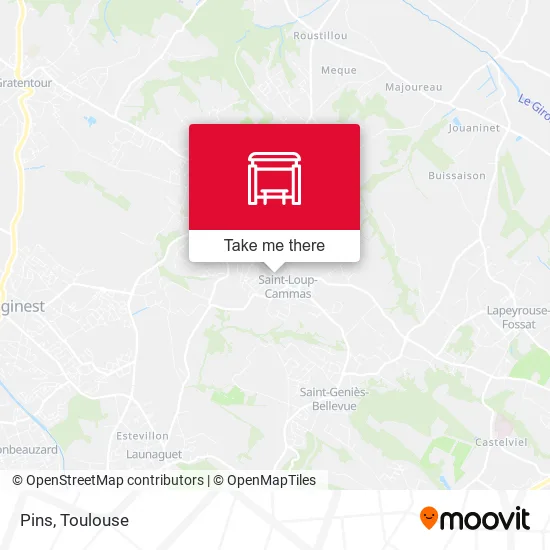 Pins map