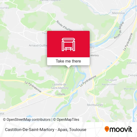 Castillon-De-Saint-Martory - Apas map