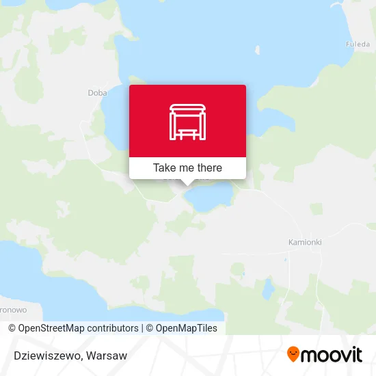 Карта Dziewiszewo