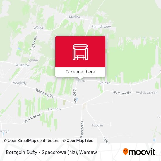 Borzęcin Duży / Spacerowa (Nż) map