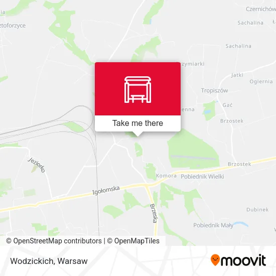 Карта Wodzickich