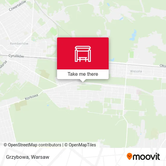 Карта Grzybowa