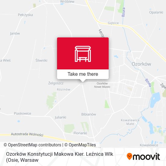 Ozorków Konstytucji Makowa Kier. Leźnica Wlk map