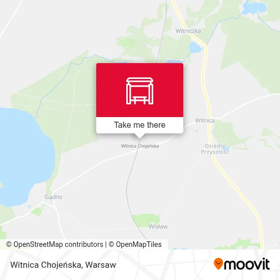 Witnica Chojeńska map