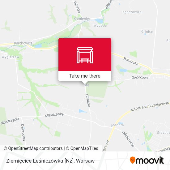 Ziemięcice Leśniczówka [Nż] map