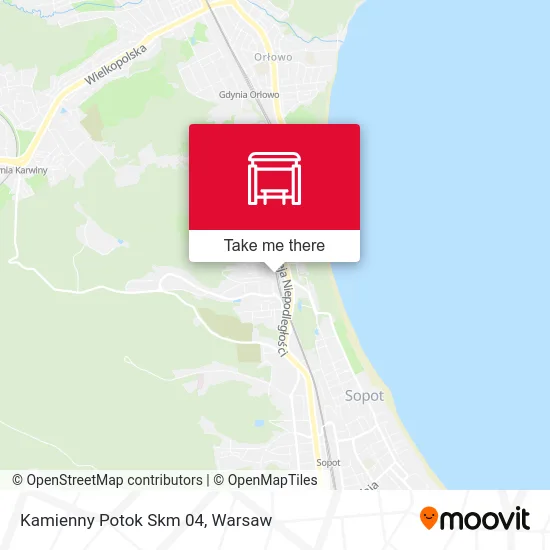 Карта Kamienny Potok Skm 04