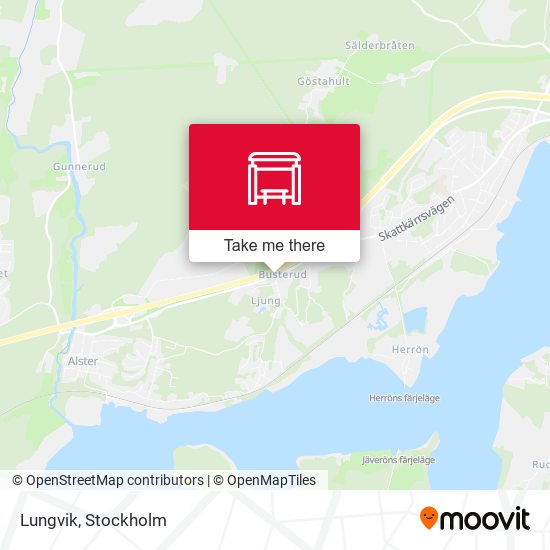 Lungvik map