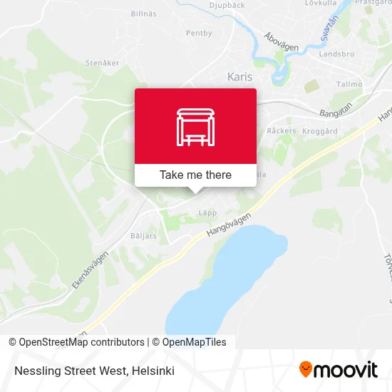 Nessling Street West map