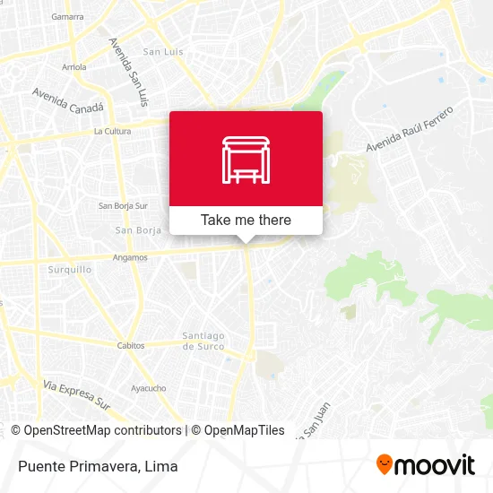 Puente Primavera map