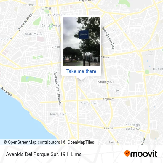 Avenida Del Parque Sur, 191 map