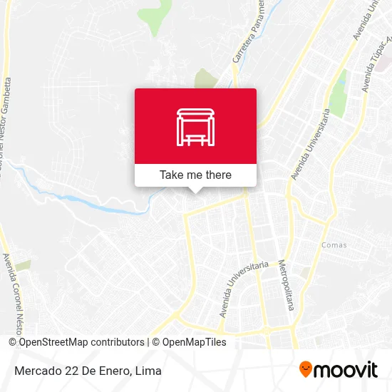 Mercado 22 De Enero map