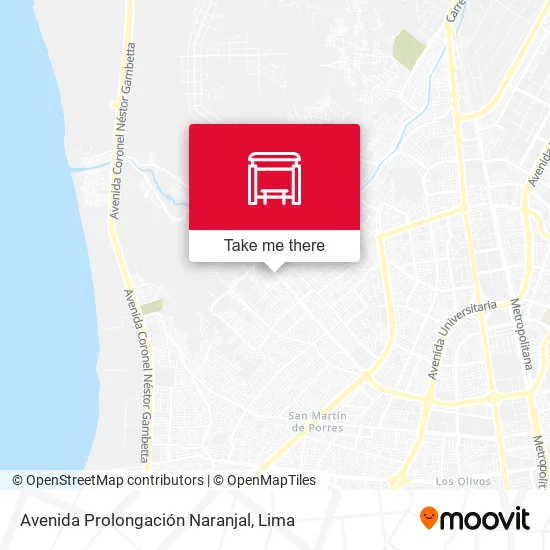 Avenida Prolongación Naranjal map