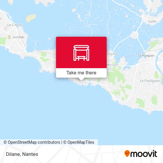 Dilane map