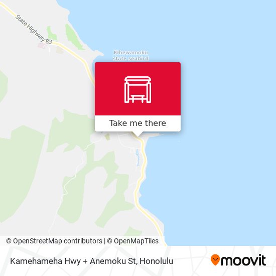 Kamehameha Hwy + Anemoku St map