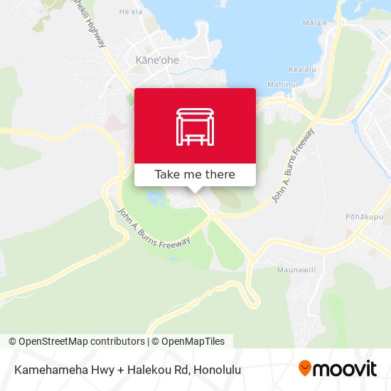 Kamehameha Hwy + Halekou Rd map