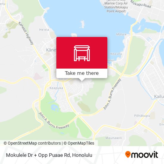 Mokulele Dr + Opp Puaae Rd map