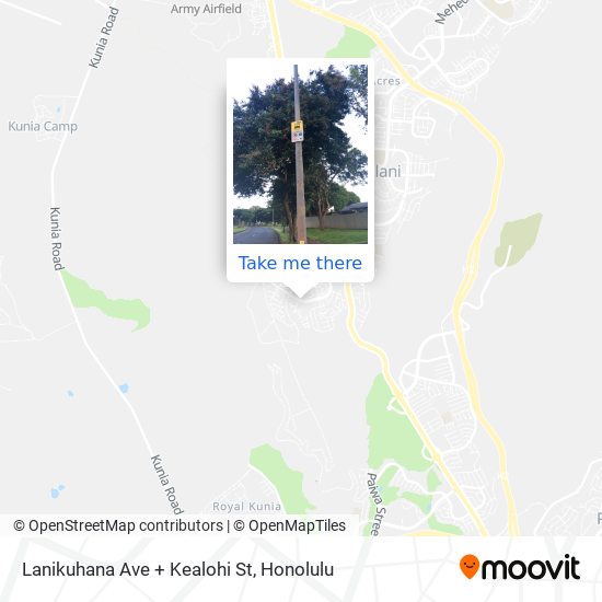 Lanikuhana Ave + Kealohi St map