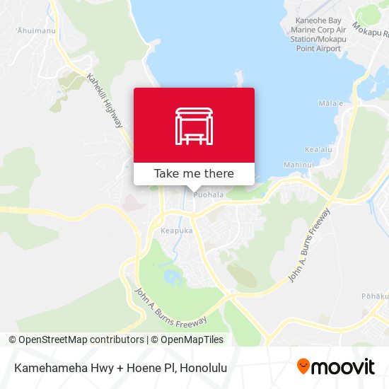 Kamehameha Hwy + Hoene Pl map